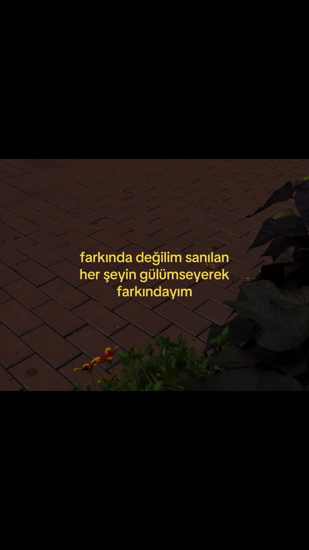 @ℰ.