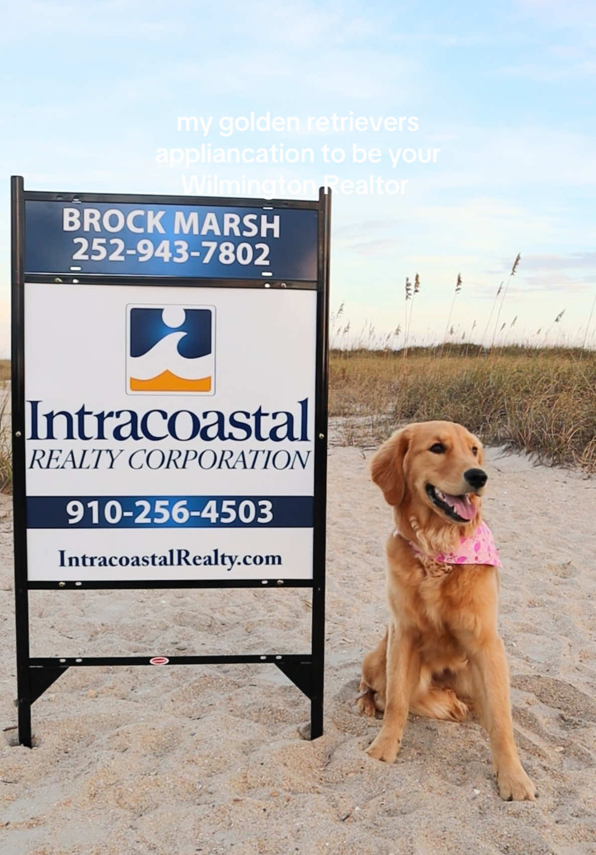 @Brock Marsh Wilmington Realtor