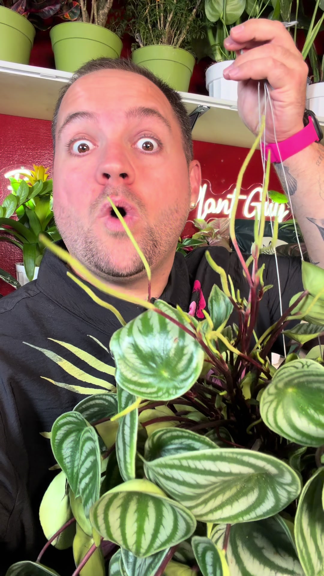 @Brandon The Plant Guy