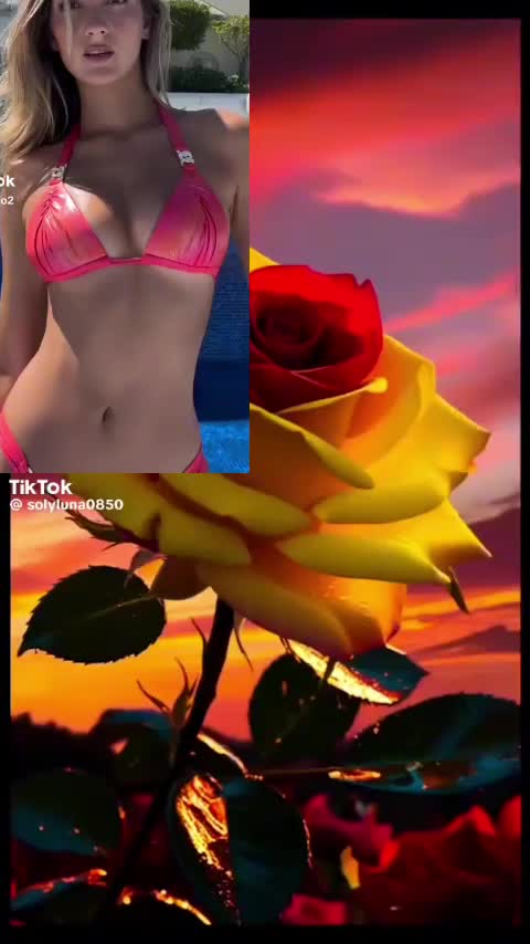 @Omenage a la belleza