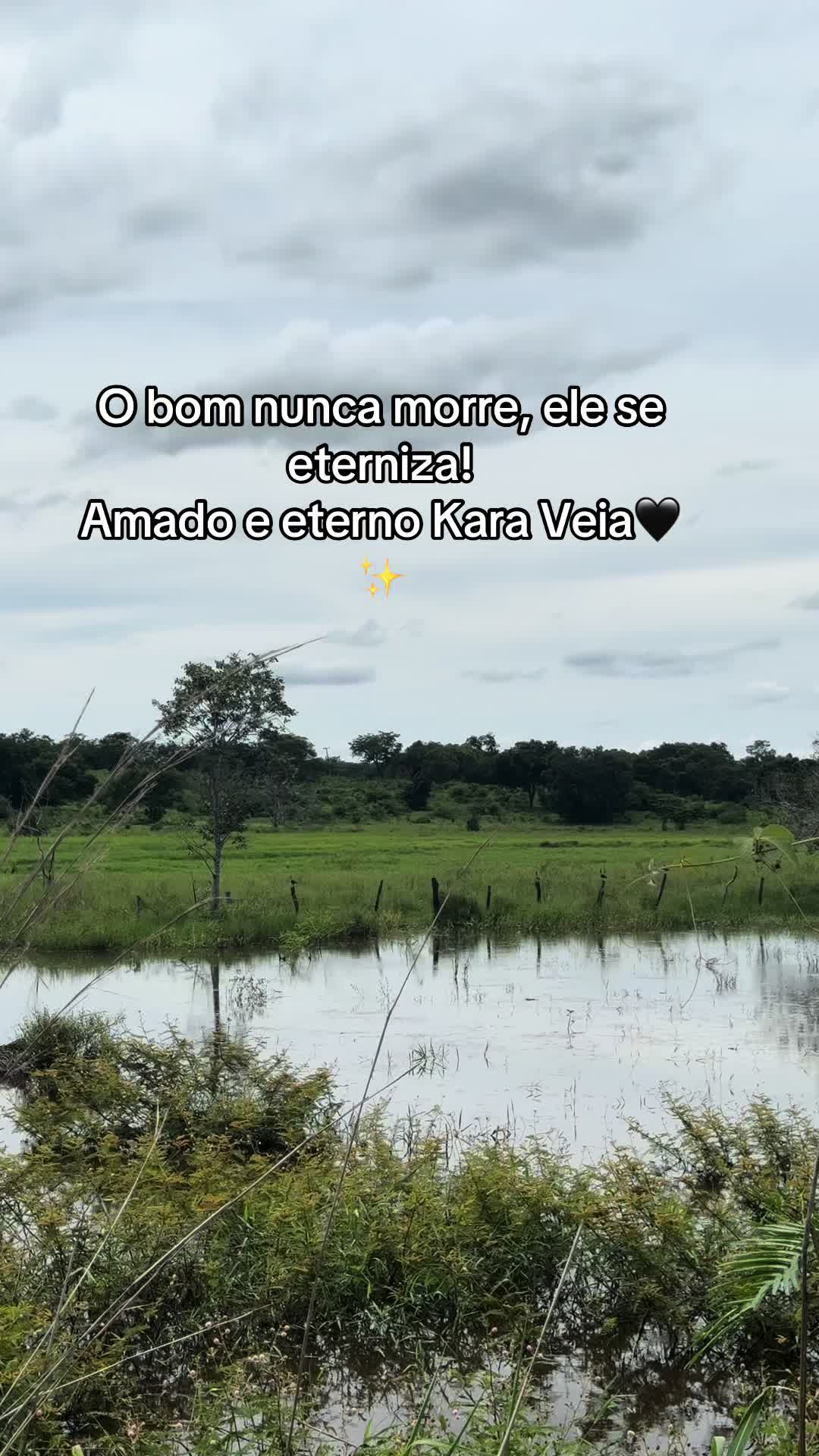 @clrsoares2