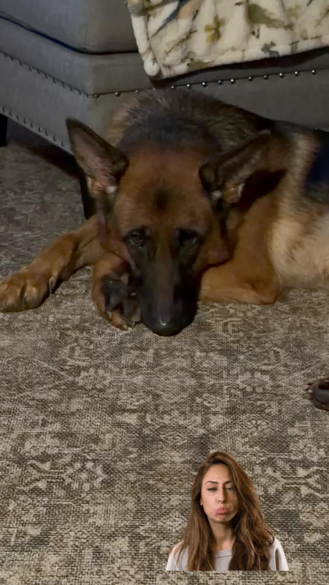 @Willa🐾🐾