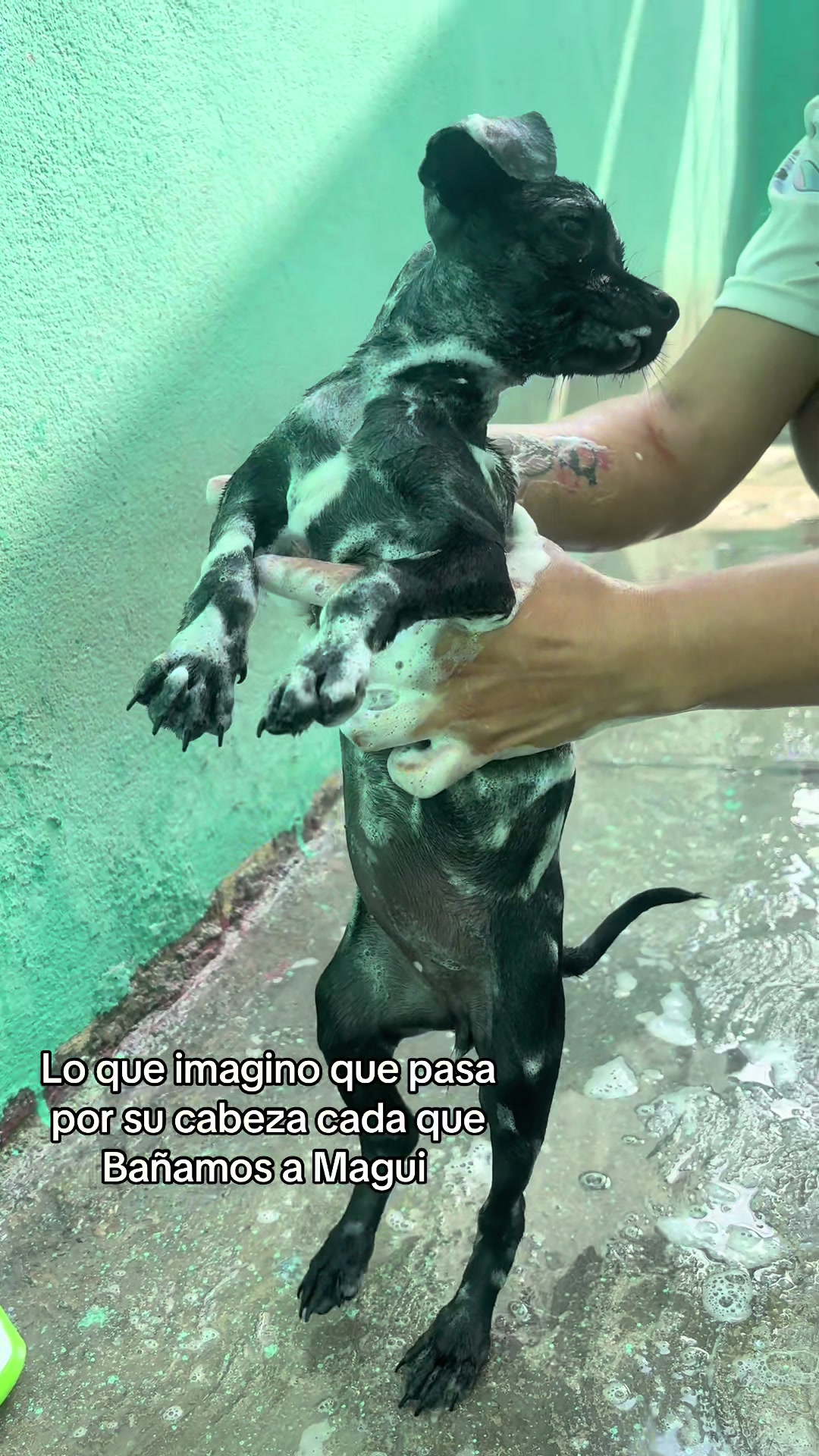 @Valery Mora