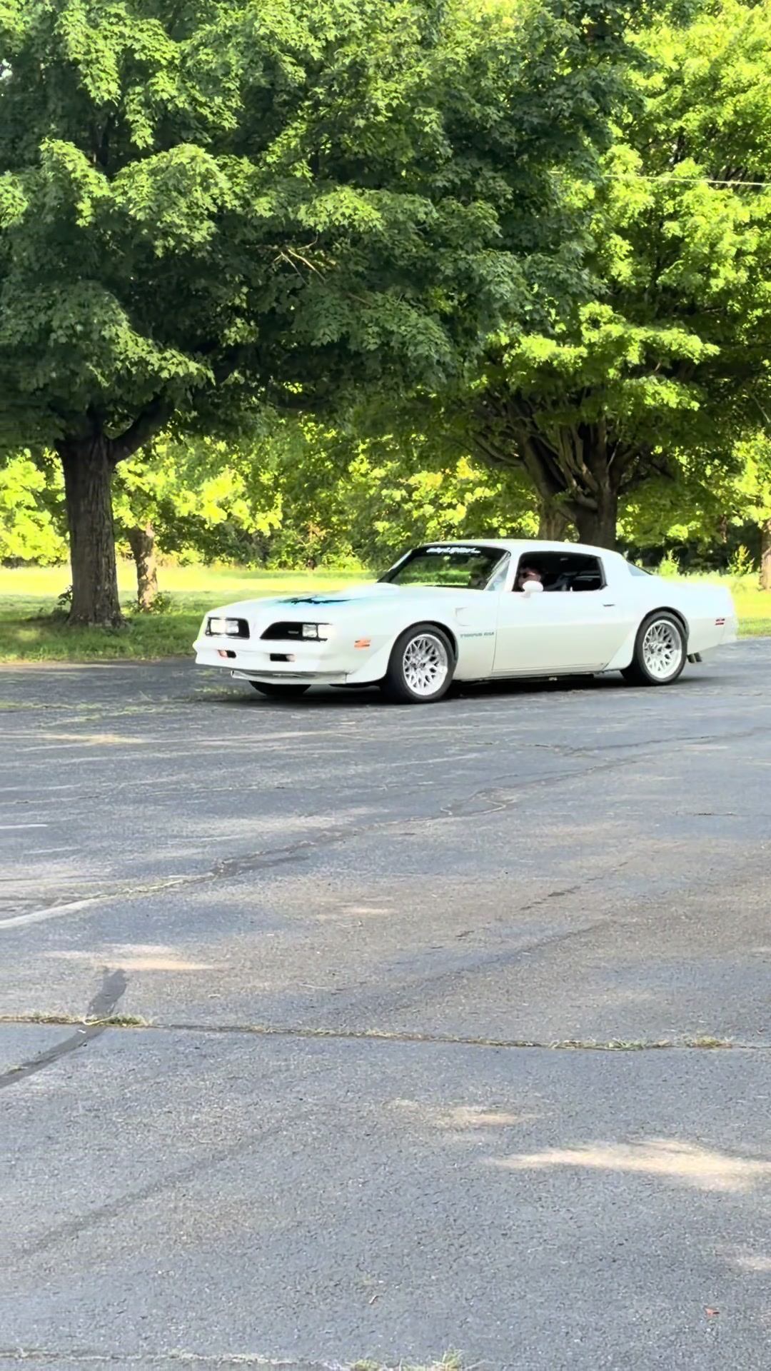 @Cars and Adventures