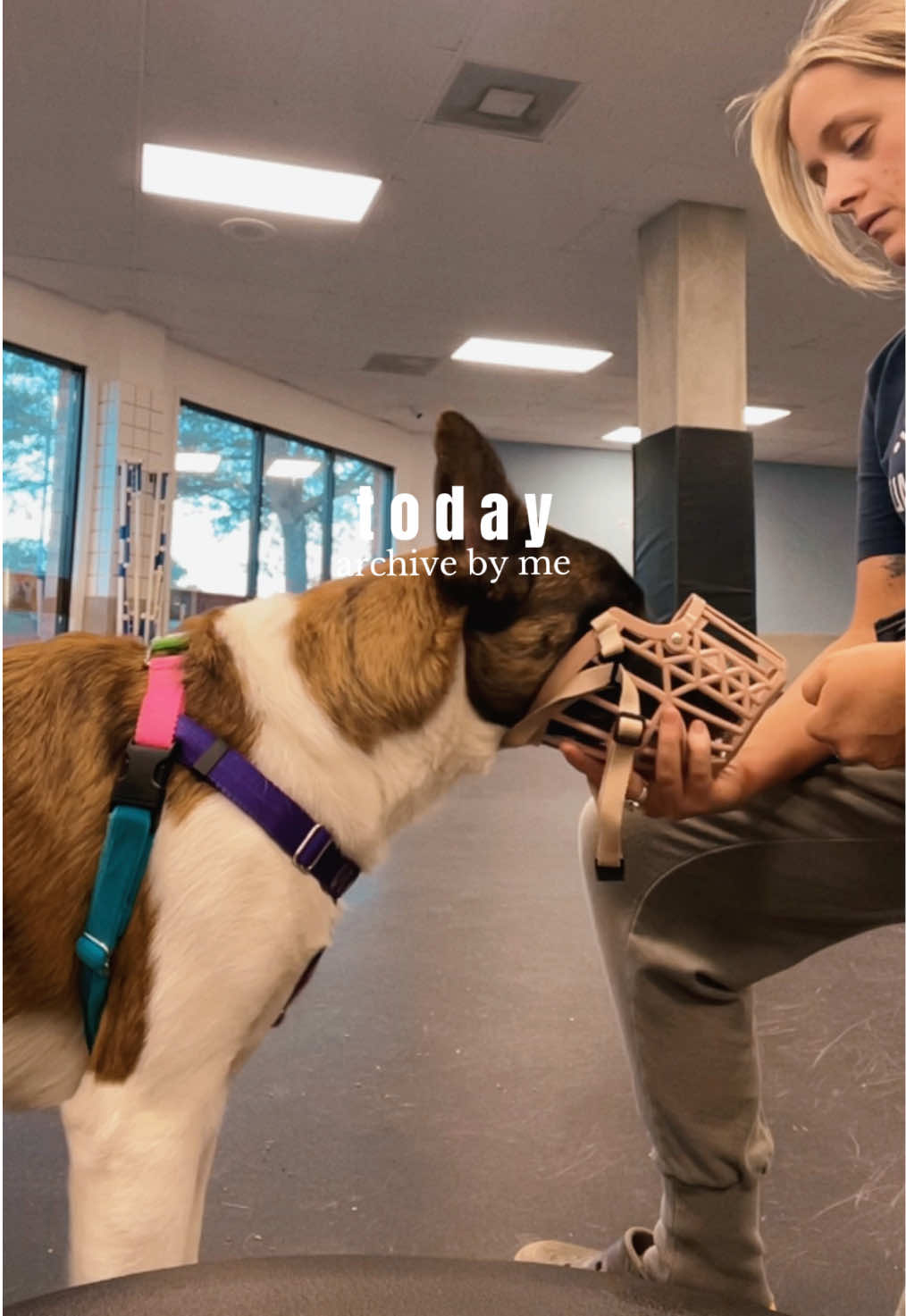 @✨Darien — Books & Dogs 📚🐶✨