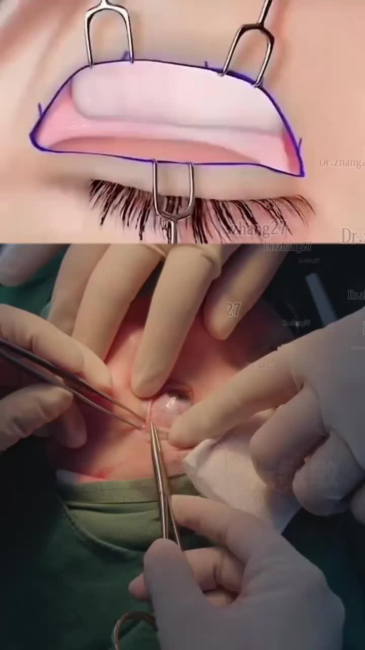 @Dr.Zhang