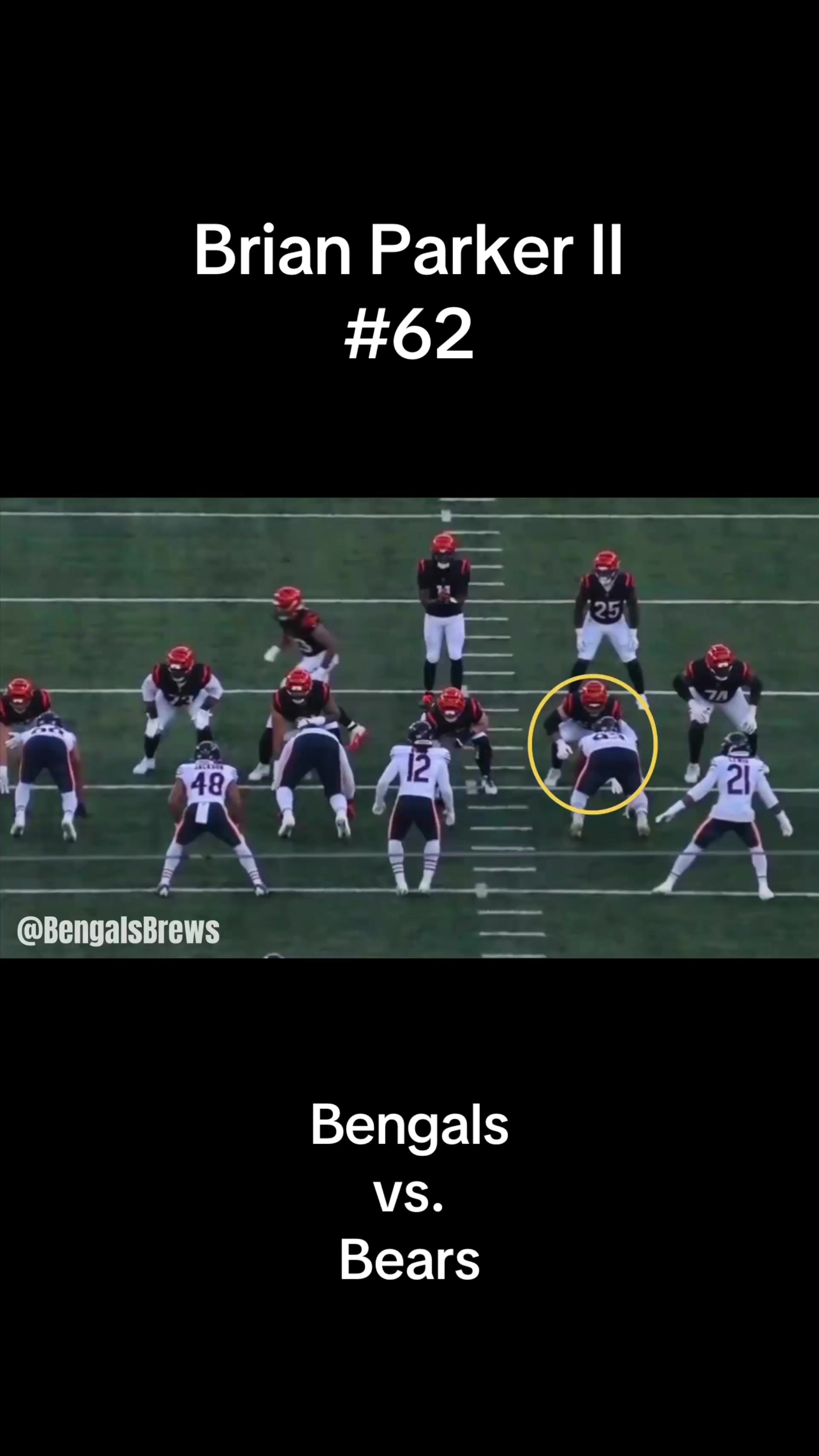 @Bengals & Brews