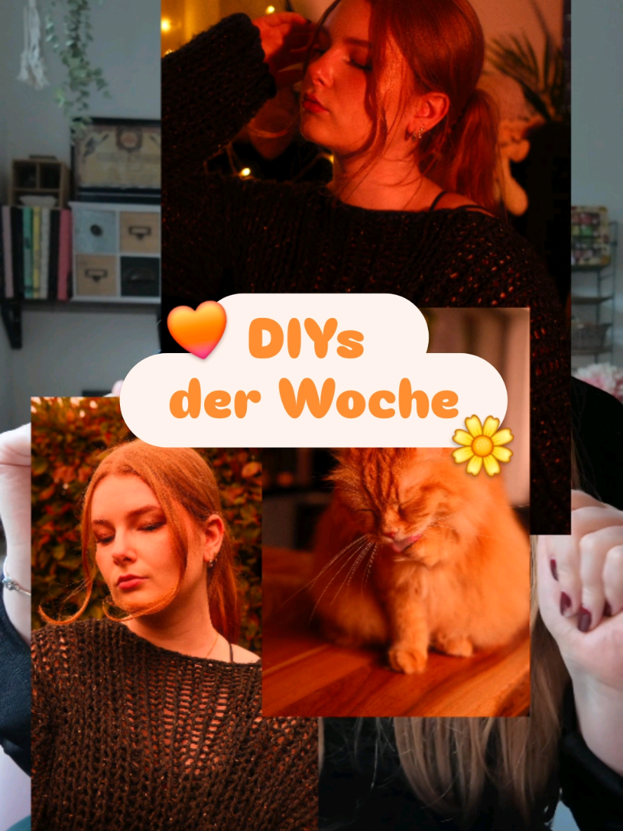 @sinasofie_kunstwerke