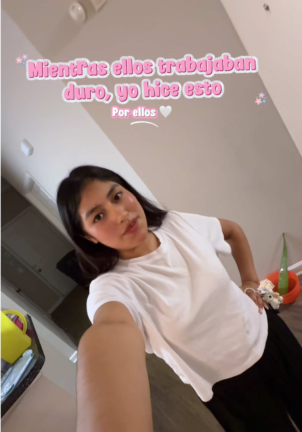 @Lisbeth Suasnabar | Mini vlogs