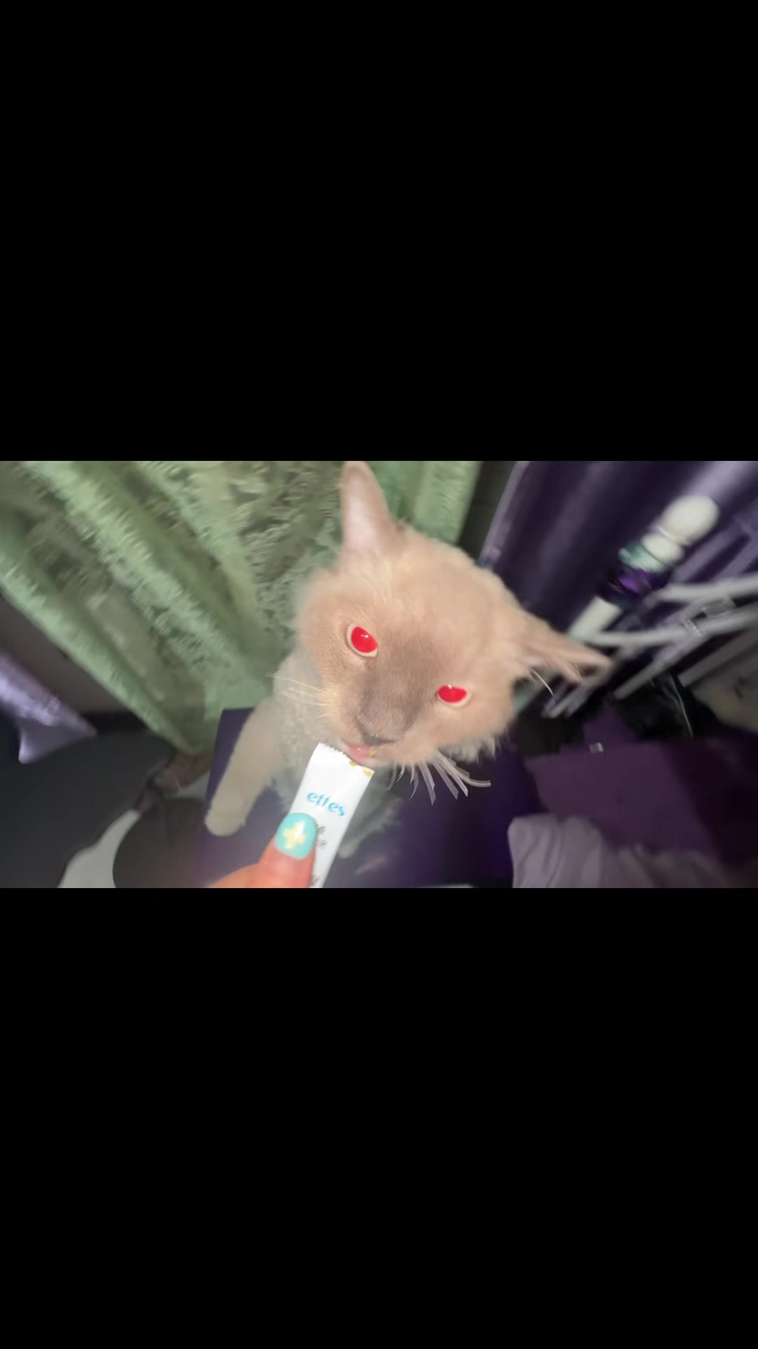 @꙳˖✰김스테파니헤리✰˖⋆゚