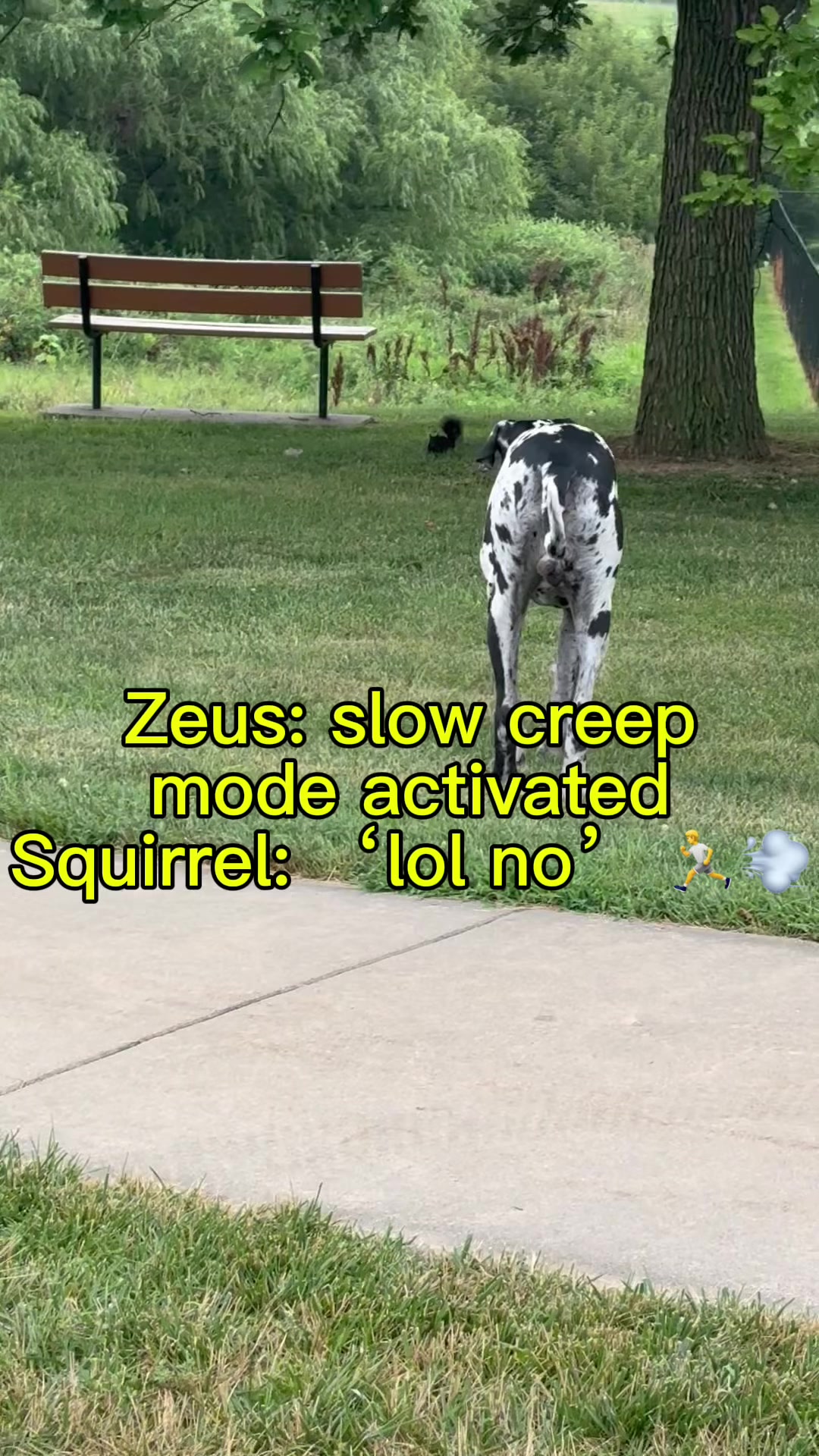 @Zeus