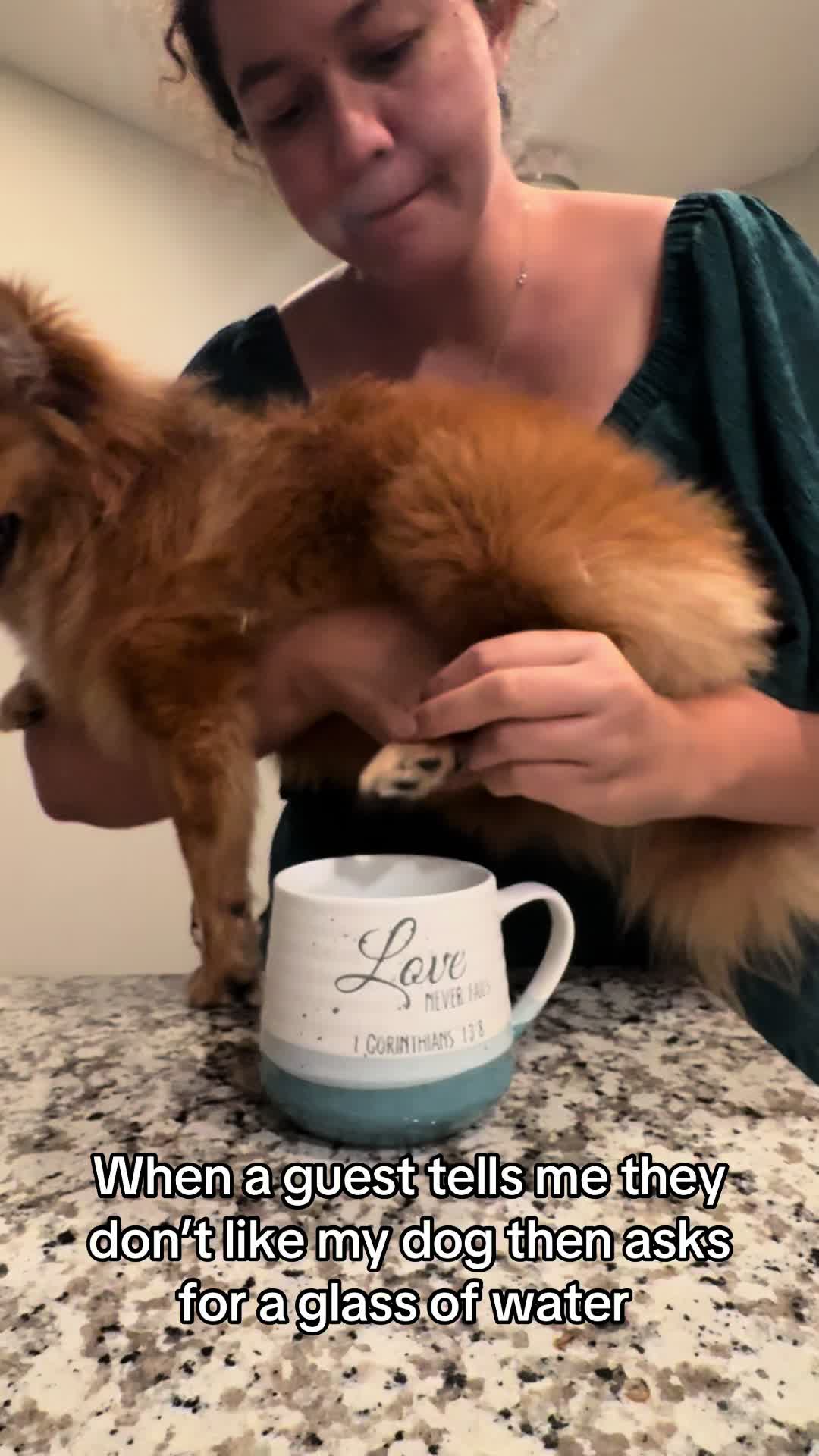 @tiffanysdiamonddogs