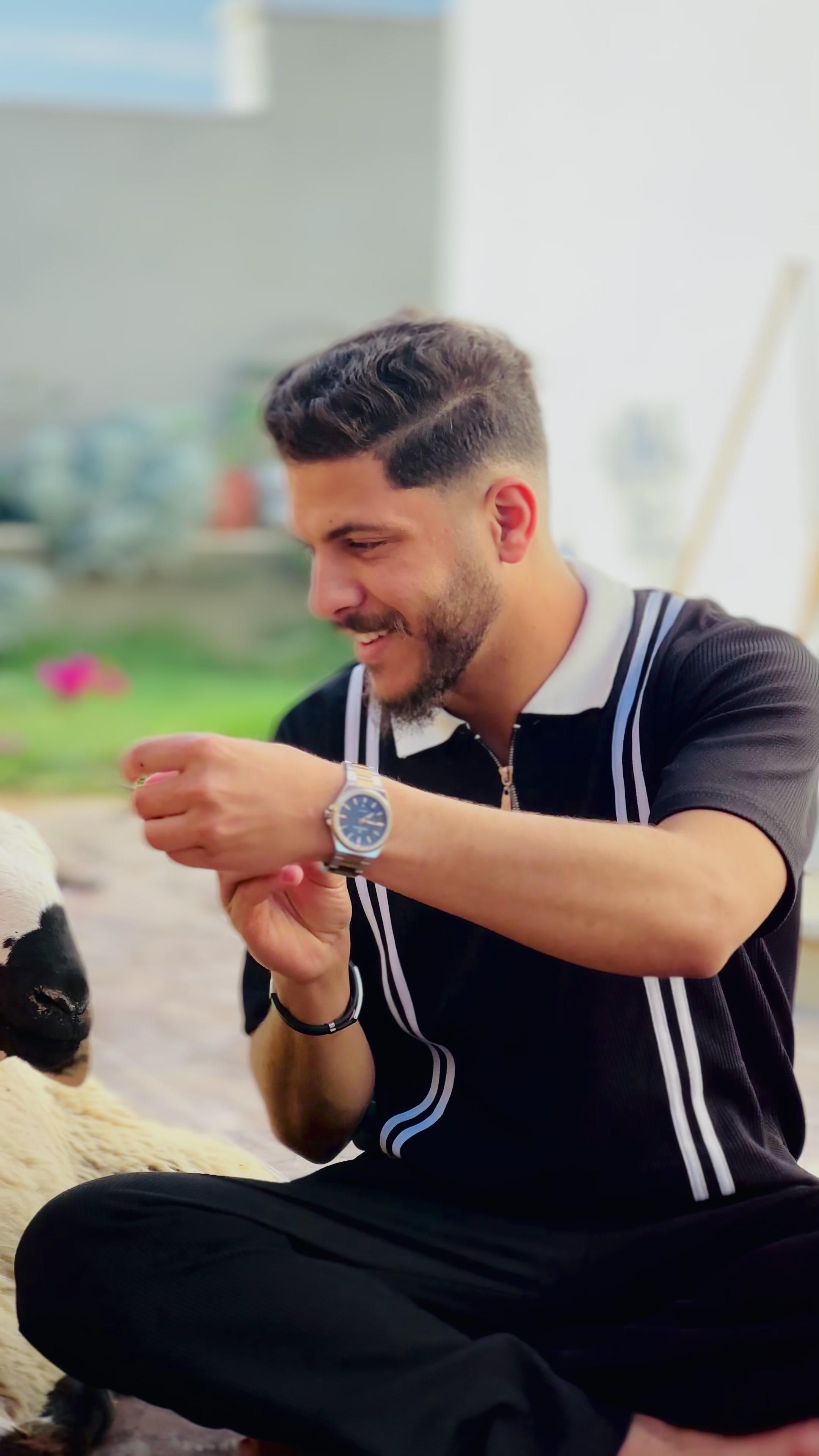 @ايوب فنشه