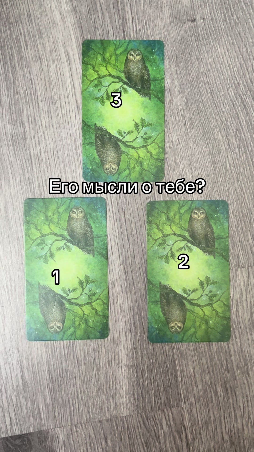 @taromipoda