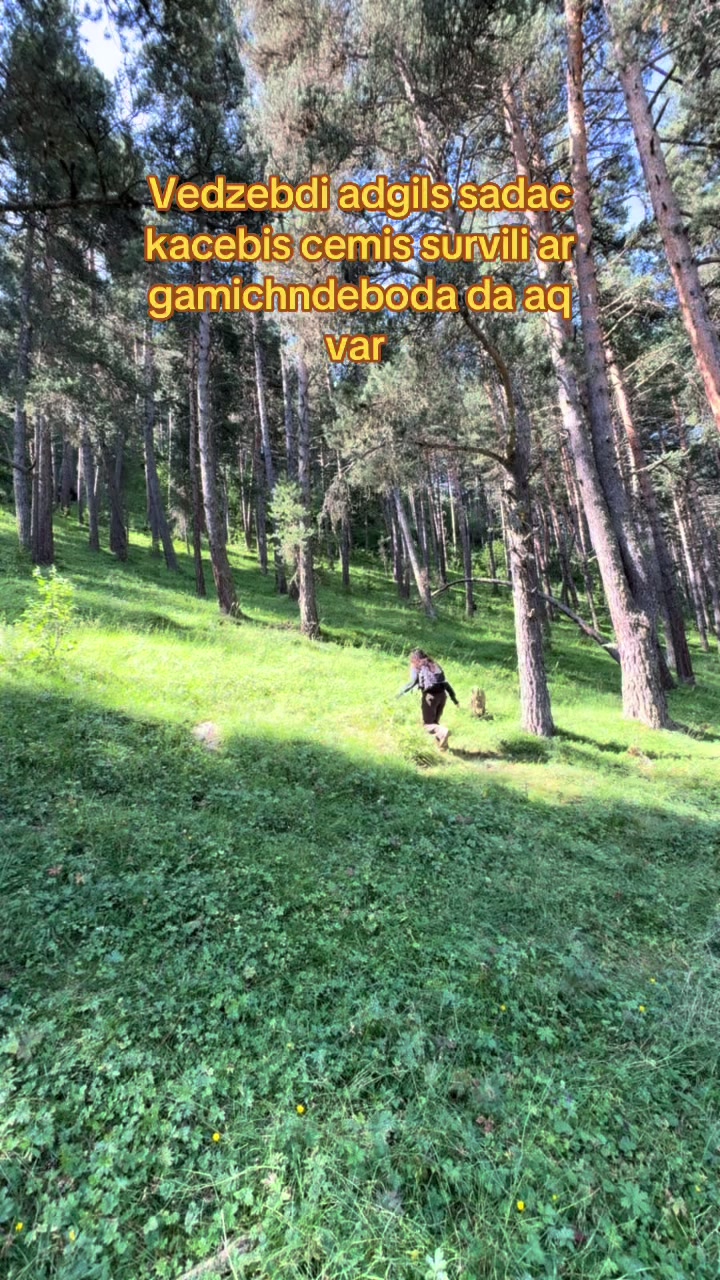 @Saloaslanikashvili