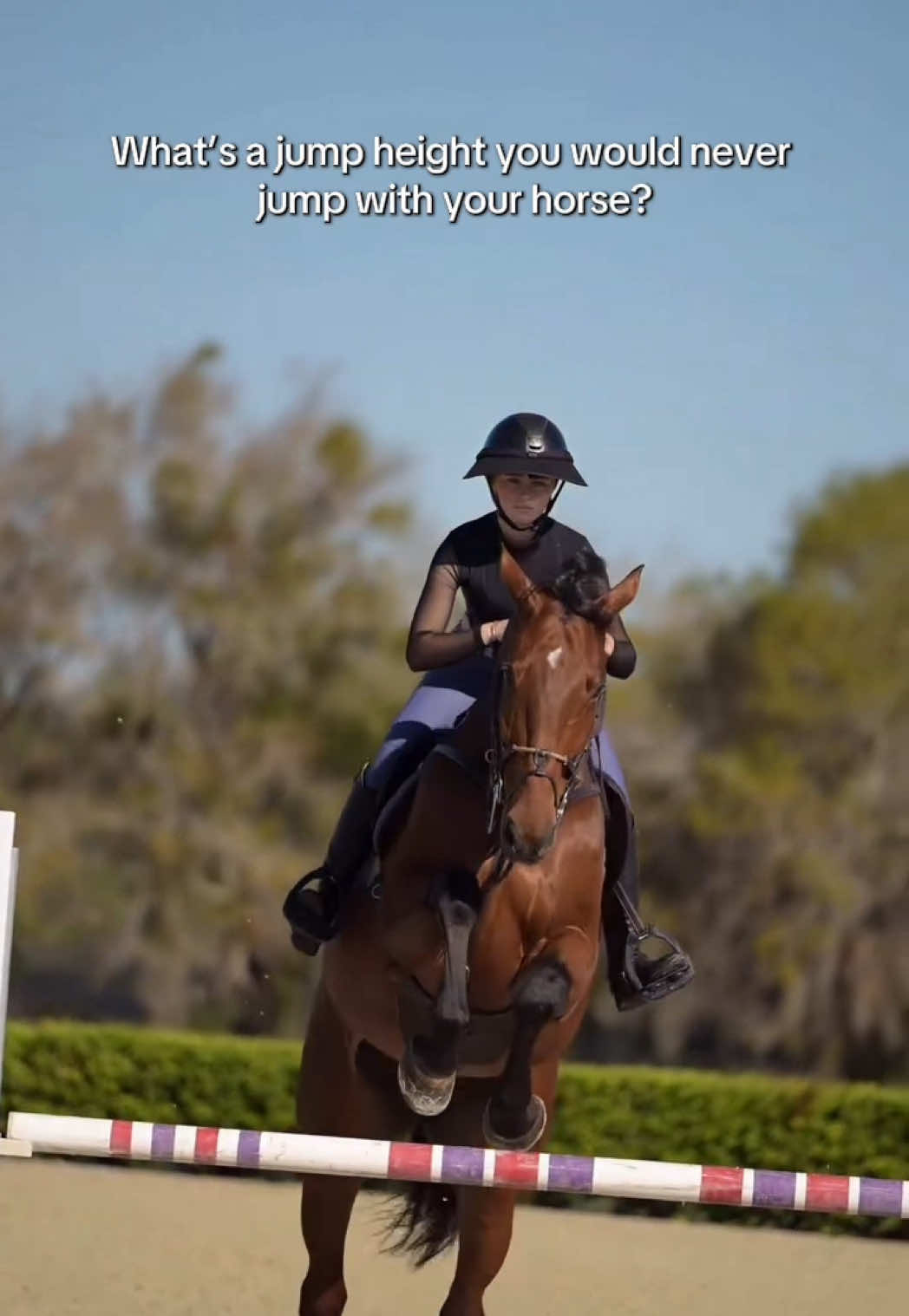 @Free Ride Equestrian