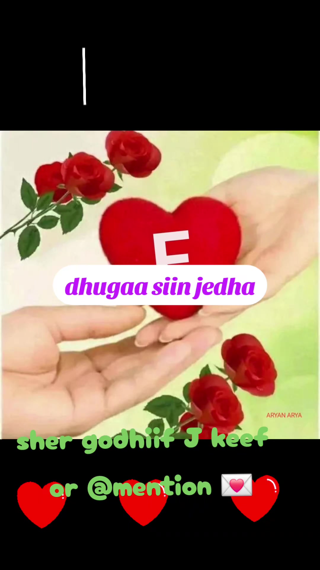 @waan ofii 667🦋❤️&zwj;🔥👉🌲✅️🌹