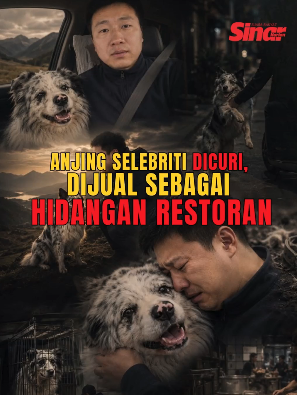 @Sinar Harian