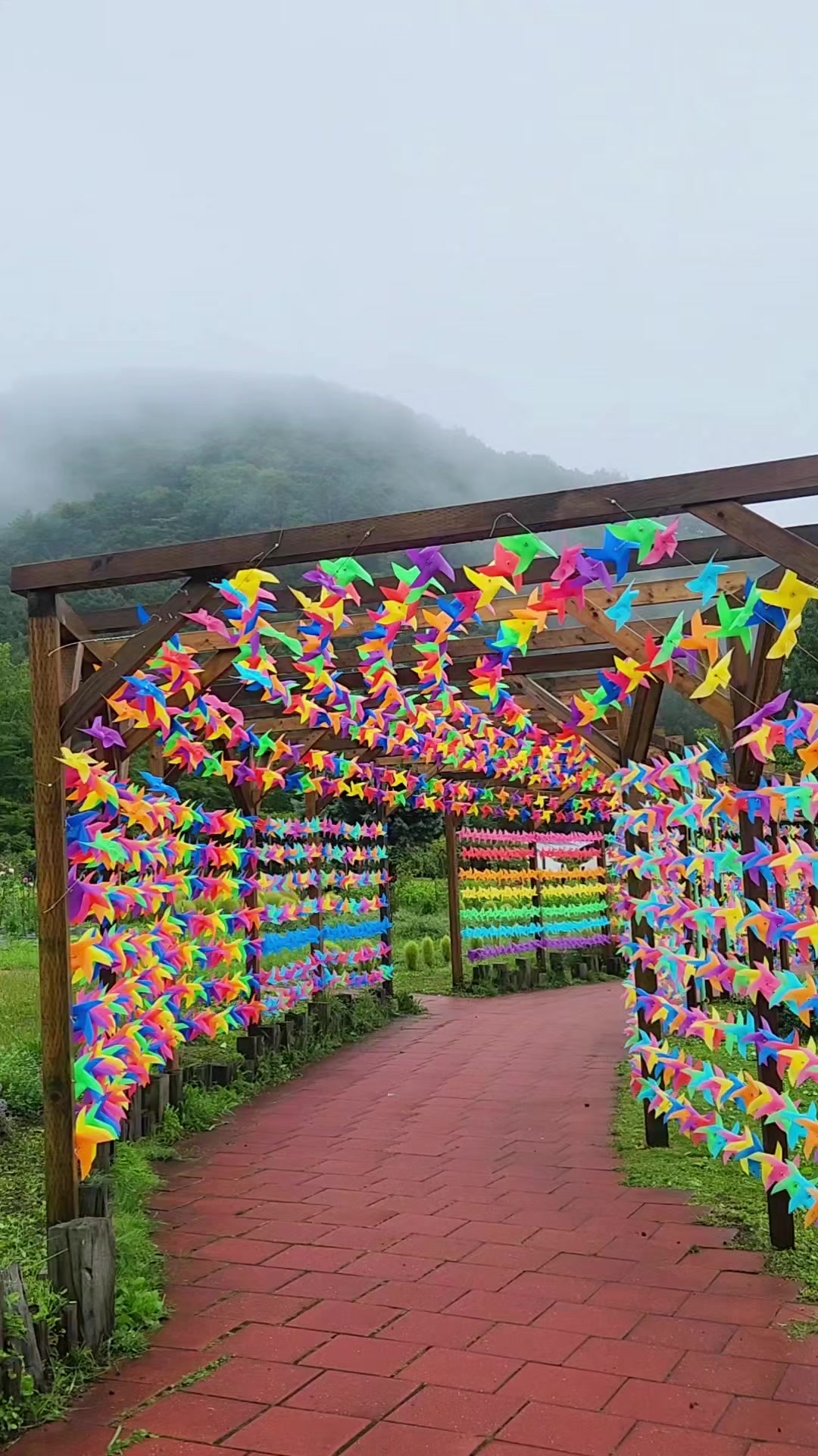 @ばっしー 東北を旅する人