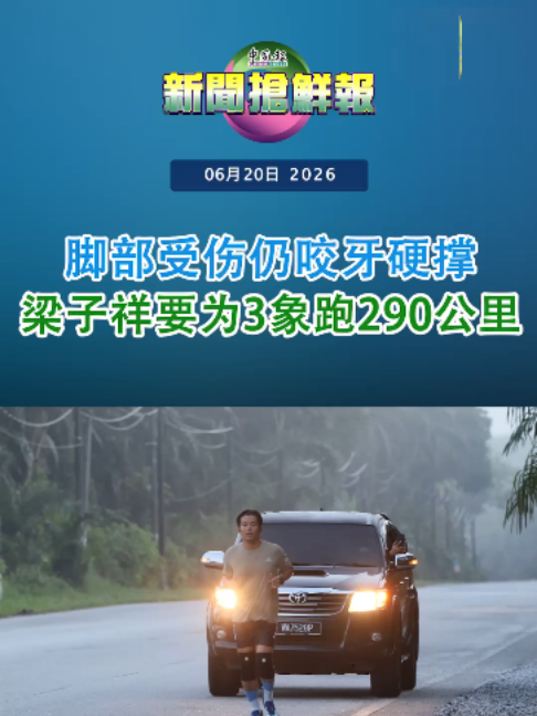 @中国报