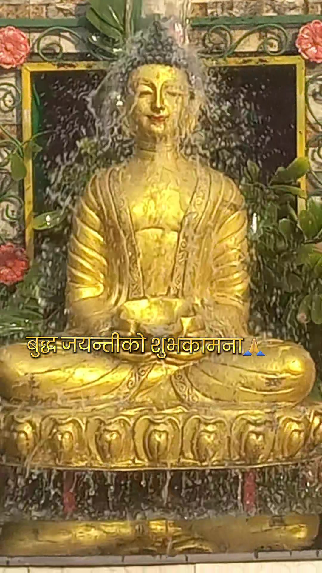 @𝐾𝑢𝑠𝑢𝑚 𝑚𝑜𝑘𝑡𝑎𝑛🌸