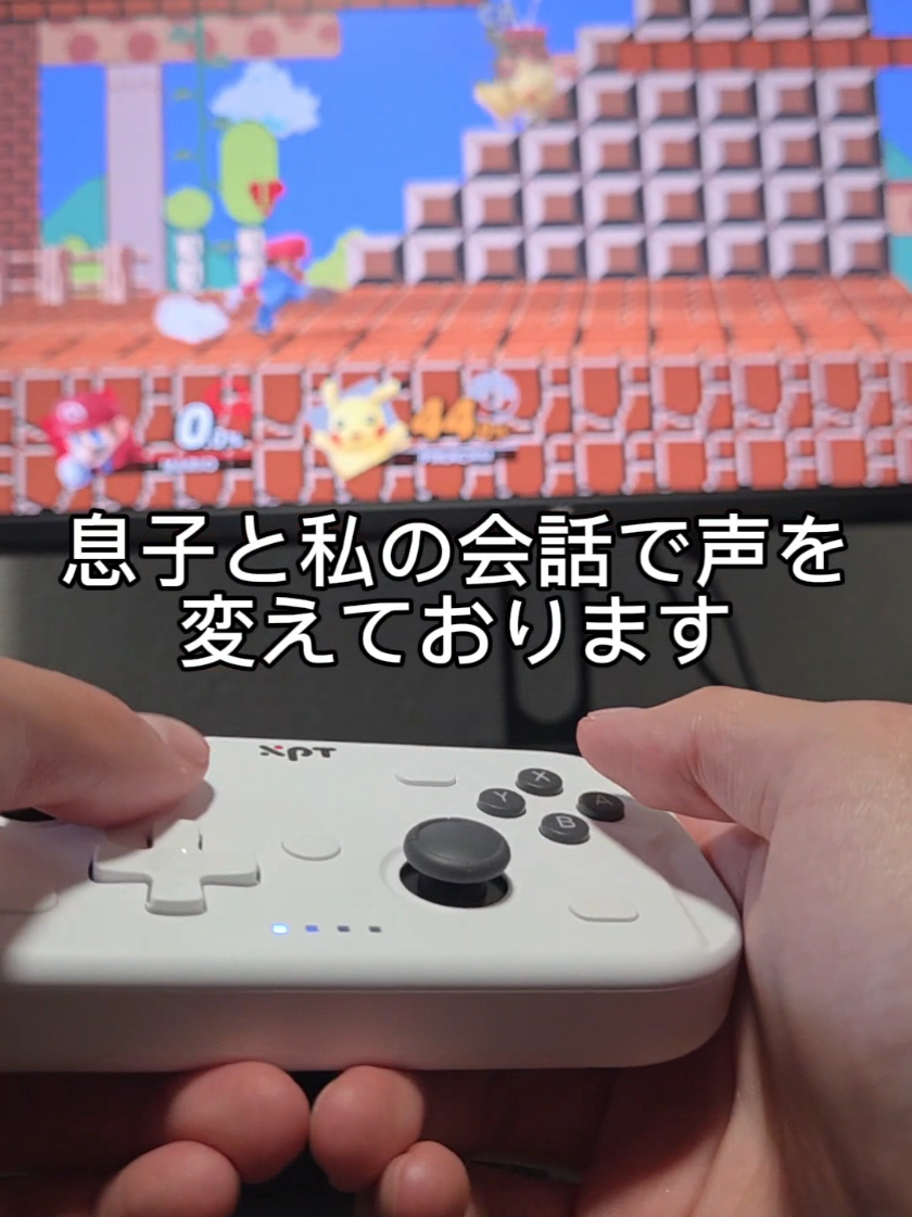 @元塗装Hack研究家/まめきち