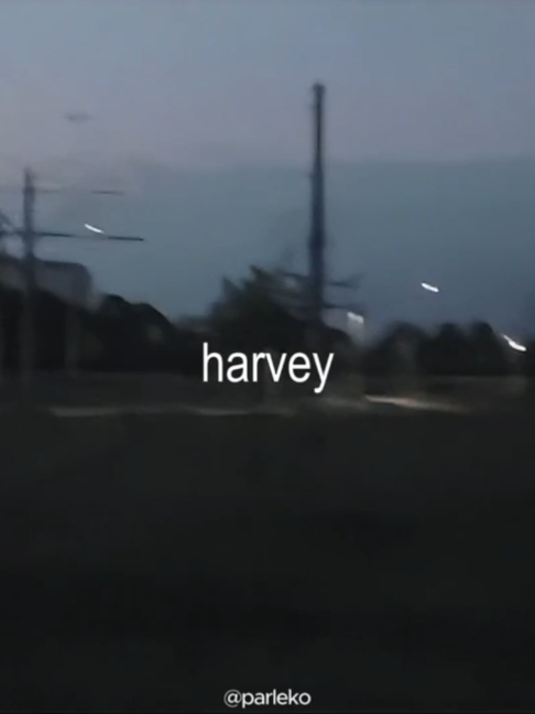 @parleko