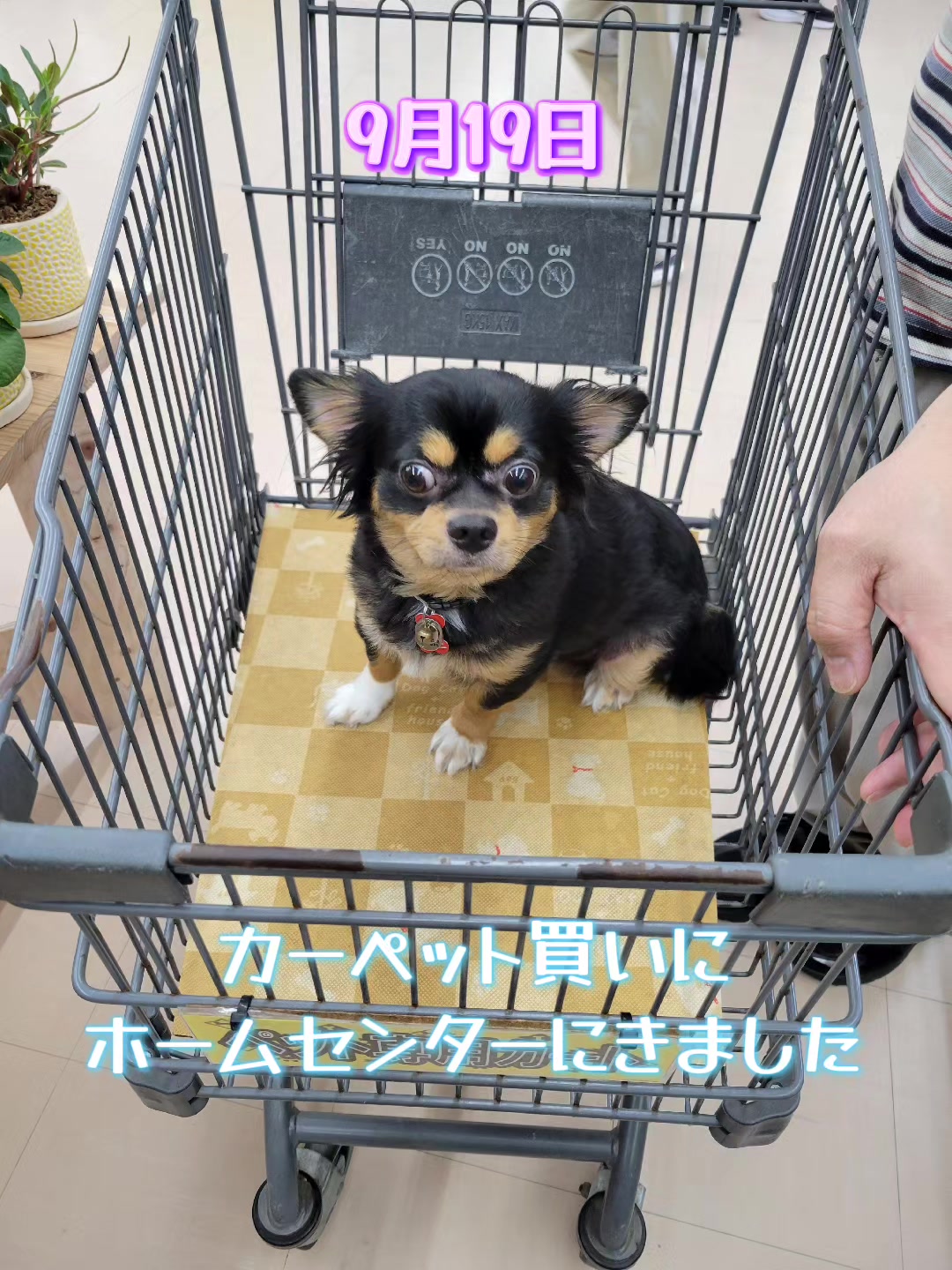 @くぅ♂︎成長日記♡
