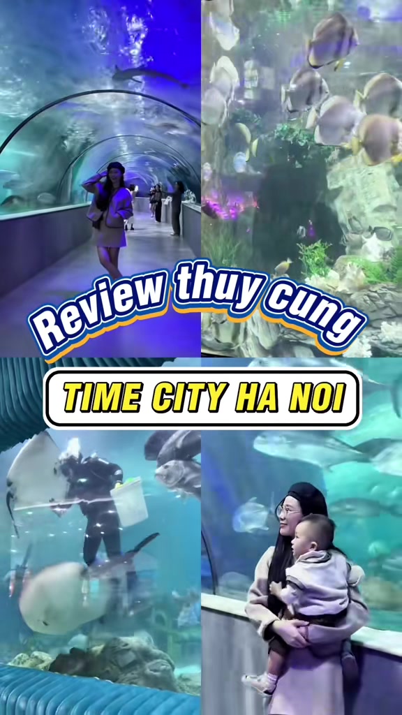 @Góc của Như 🔆