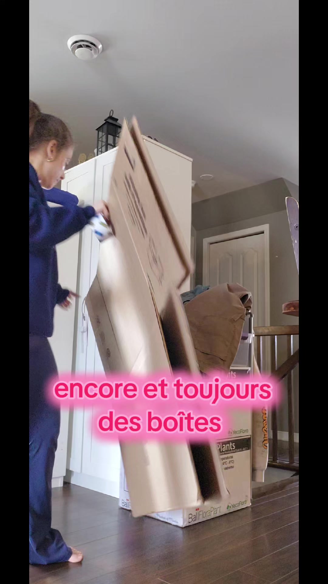 @Celine Gingras