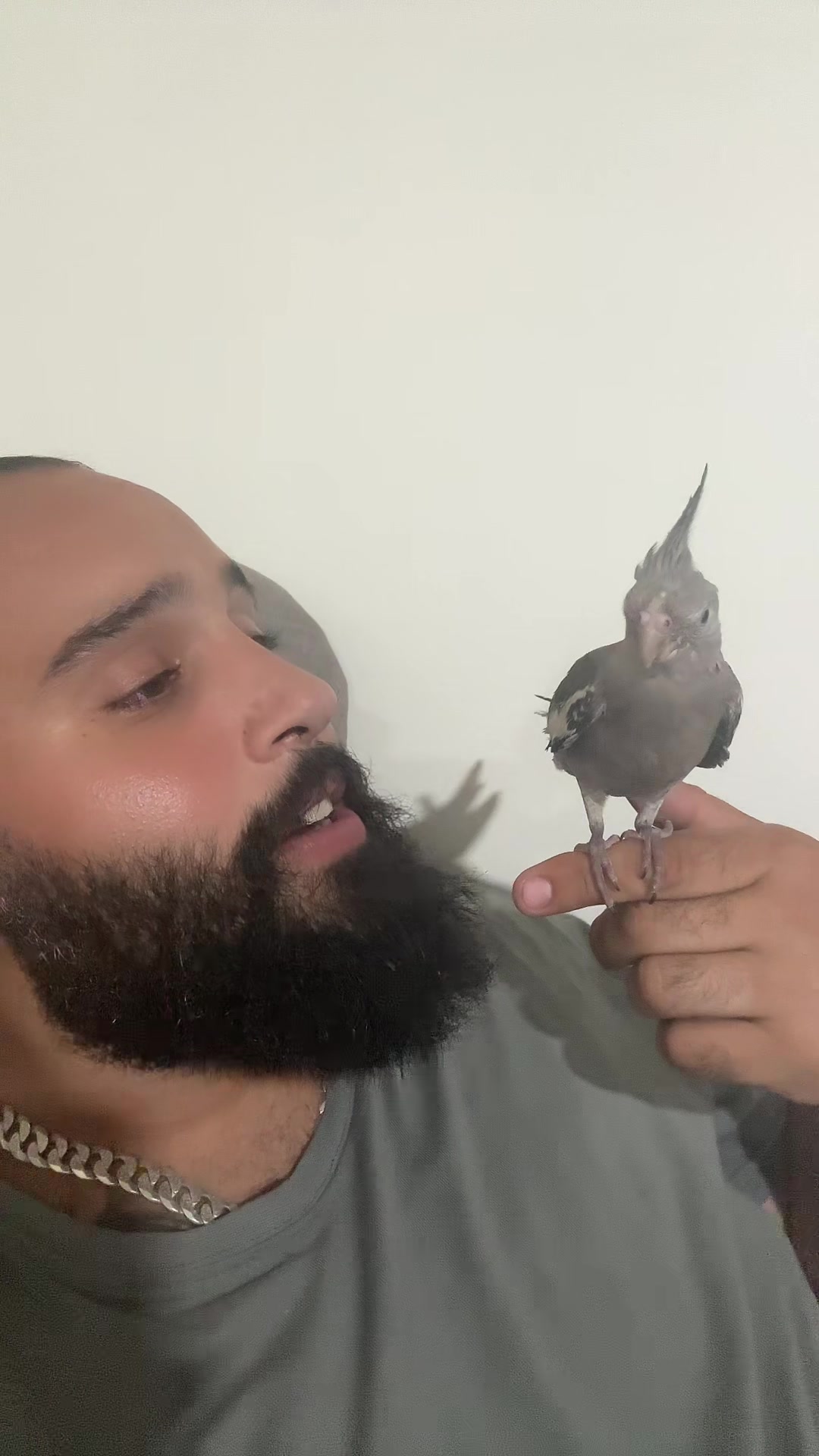 @Choumar.Ink