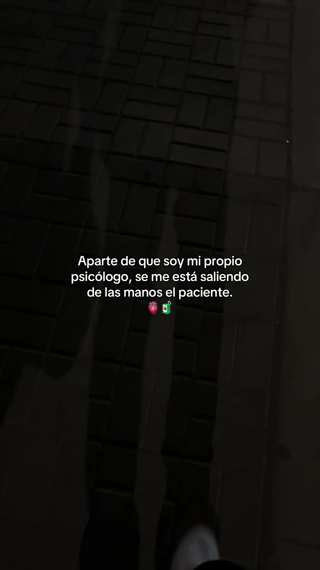 @Gatocix 🐱