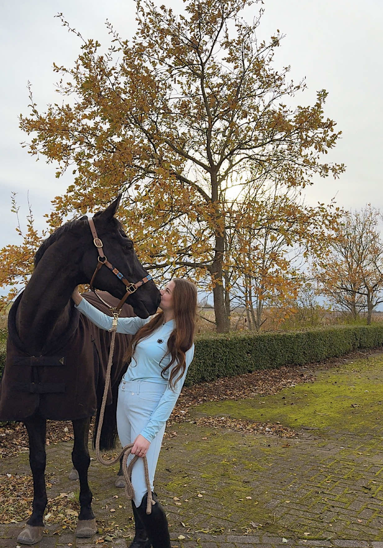 @fmnschothorses
