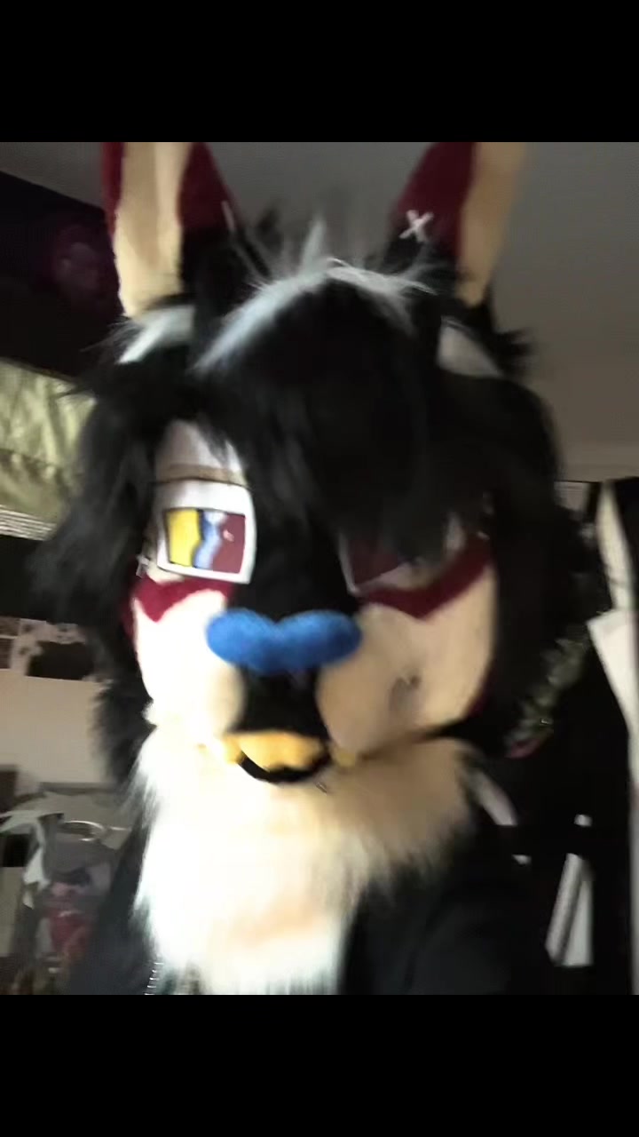 @𝐧𝐨𝐚𝐡 🐾
