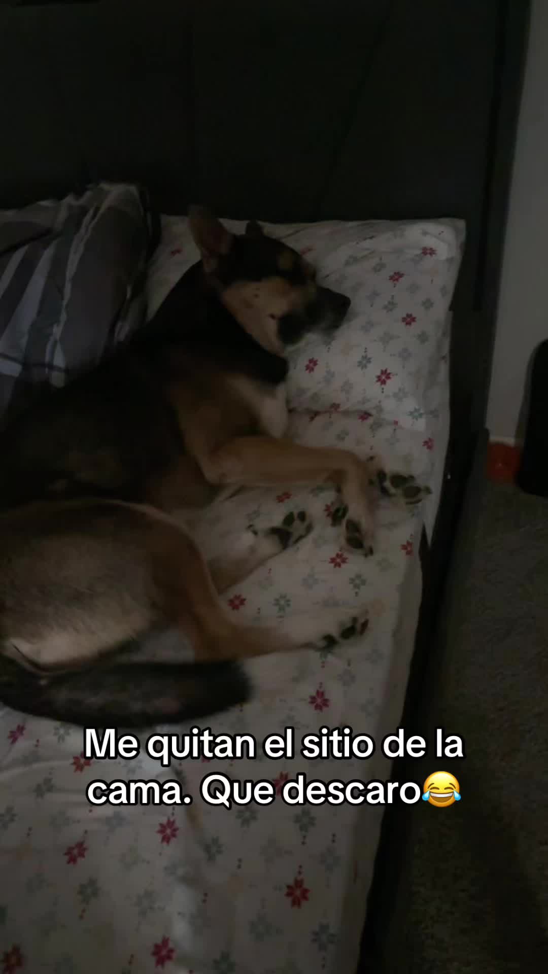 @Alejo