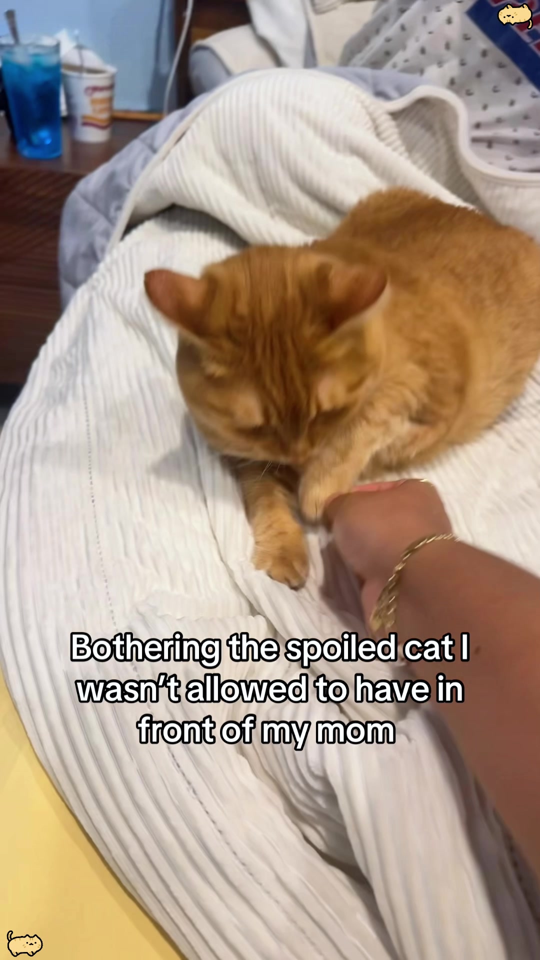 @pawsitive.energy