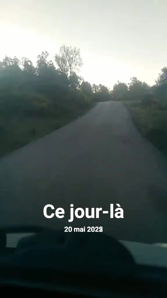@BoBDjelili
