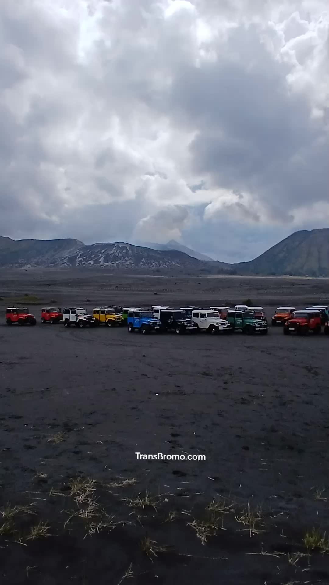 @transbromo