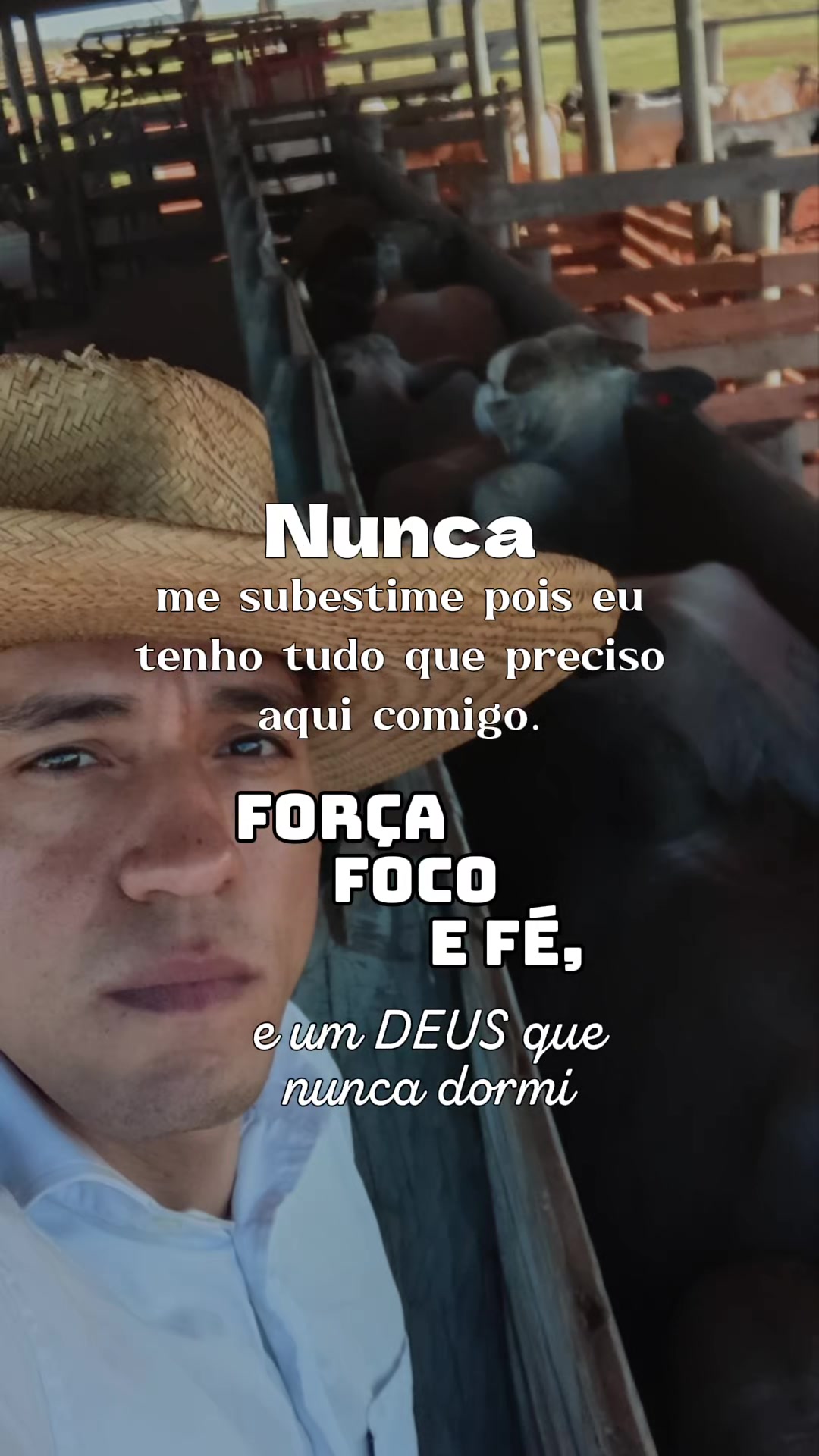 @BENEVIDES🤠🍃