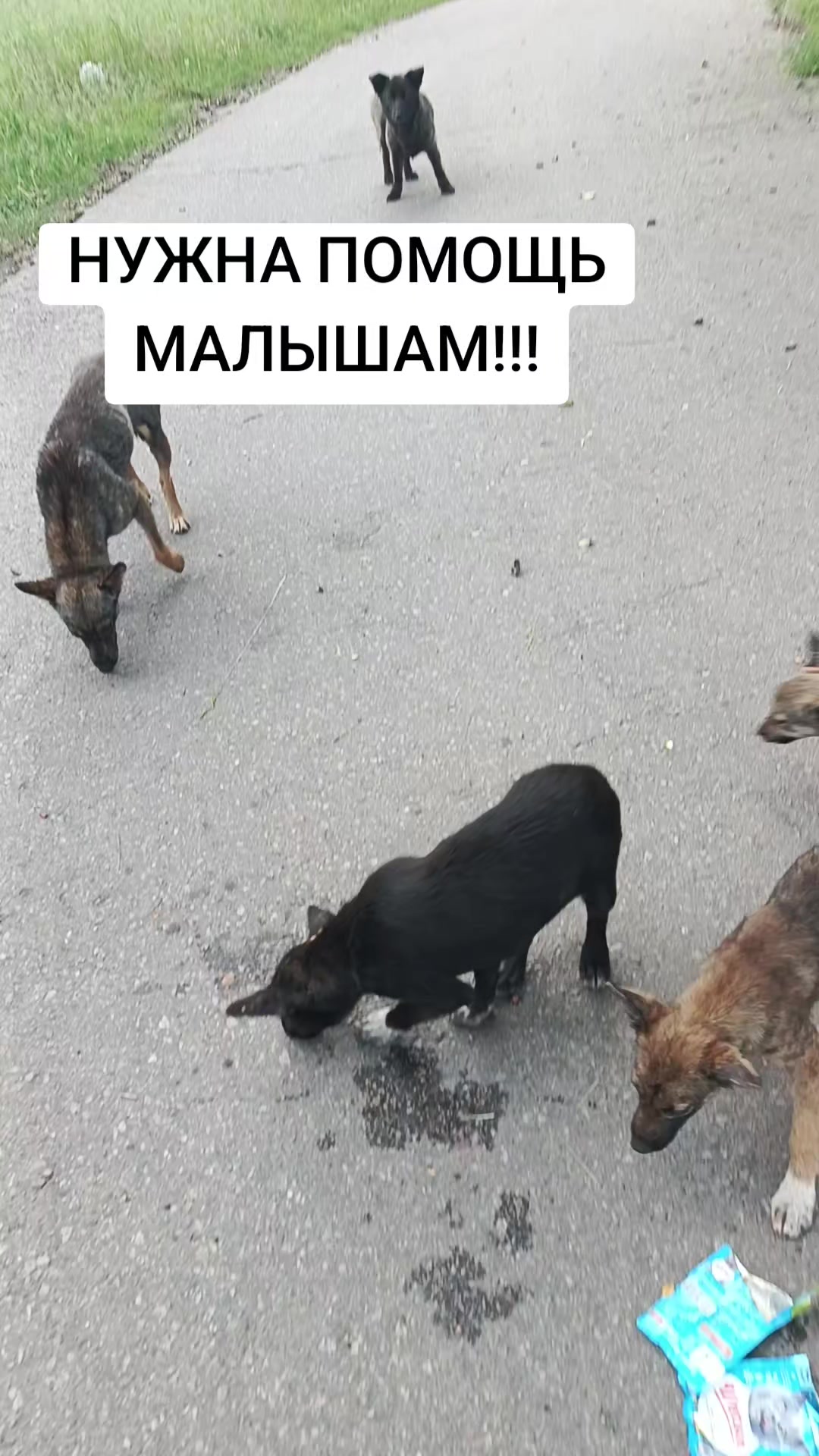 @Мама ангелочков ❤️