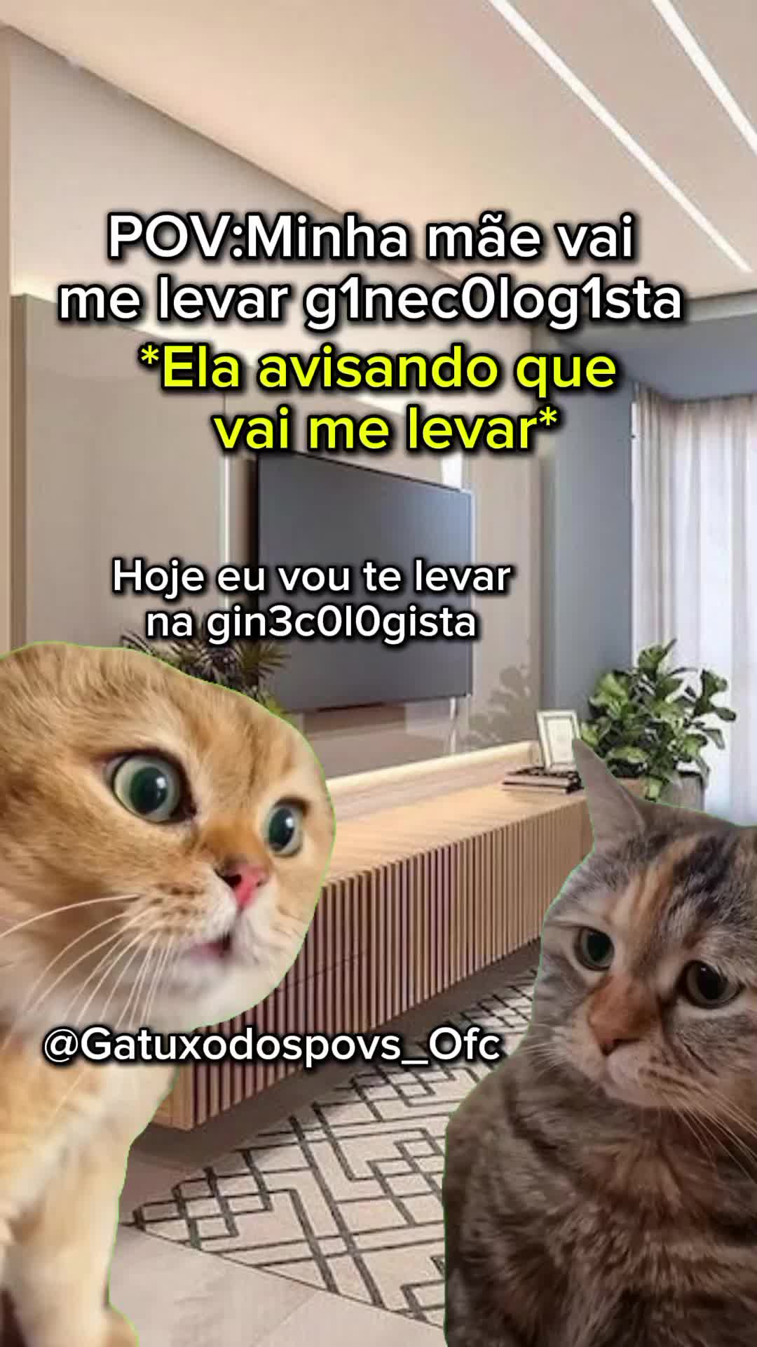 @Gatuxo Dos Povs Ofc