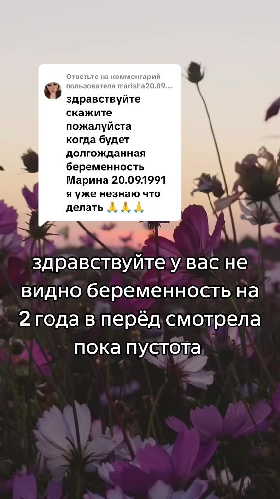 @Tarolog5467