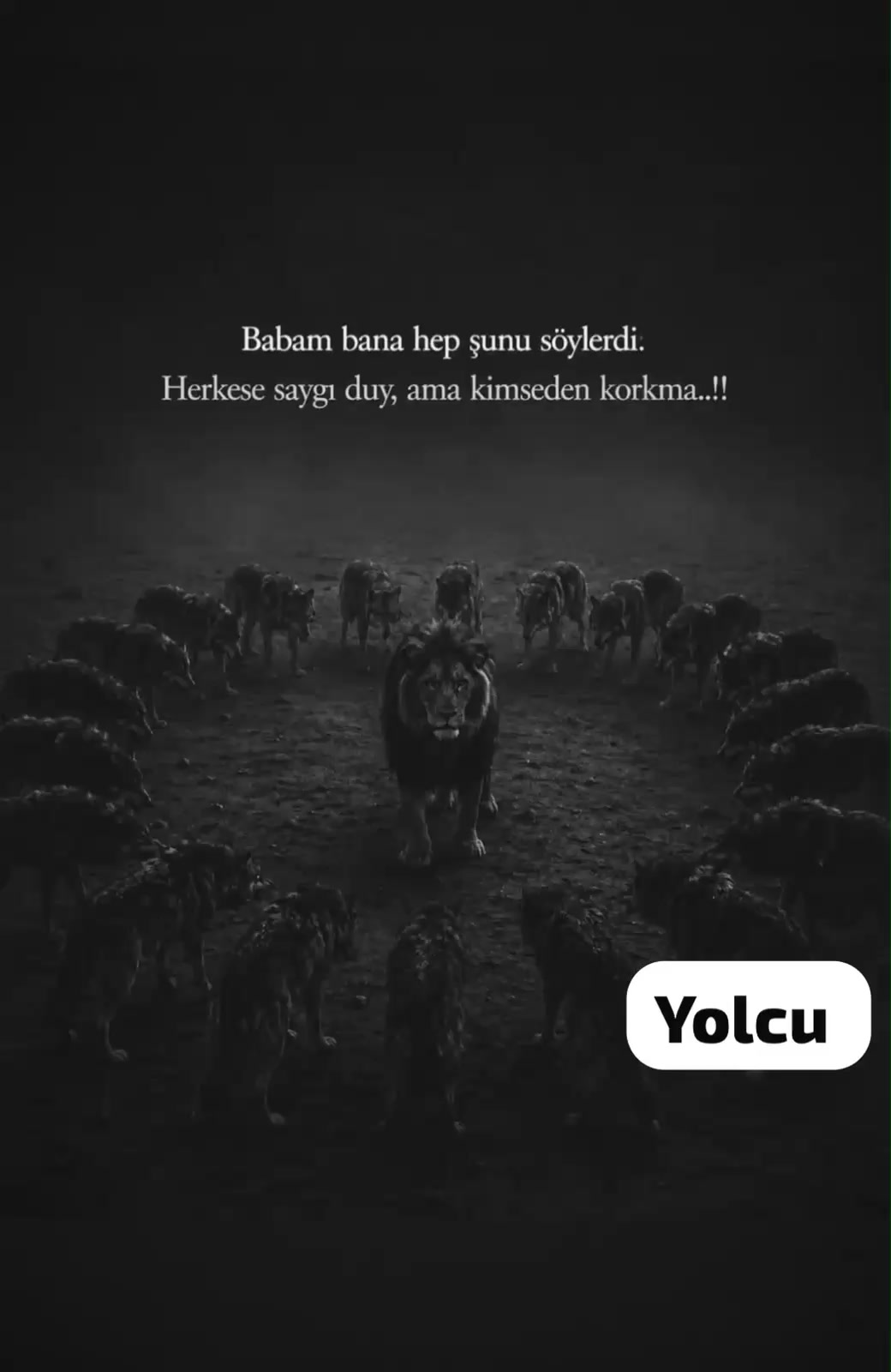 @🦁🔥🦁YOLCU🦁🔥🦁