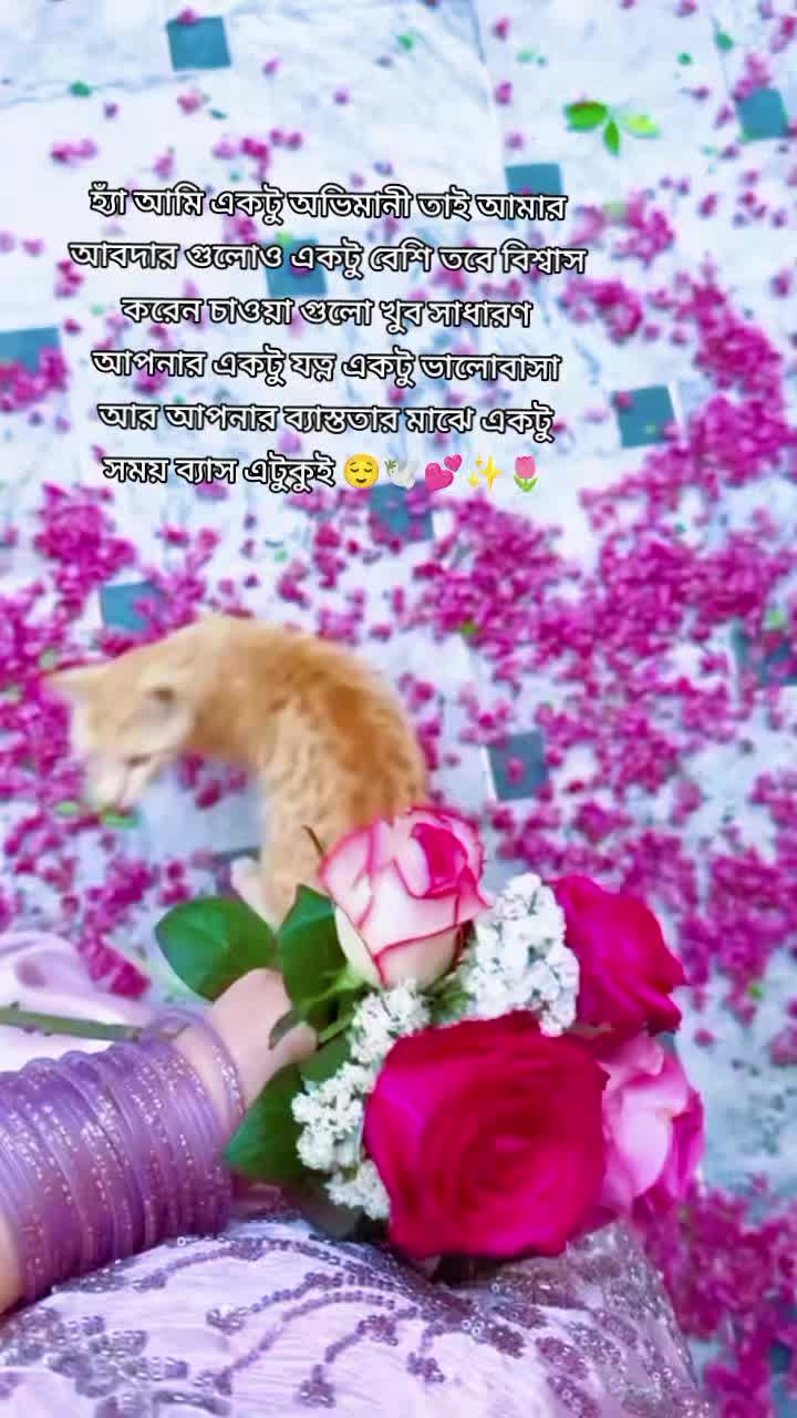 @⚔️🌷🎀⚔️