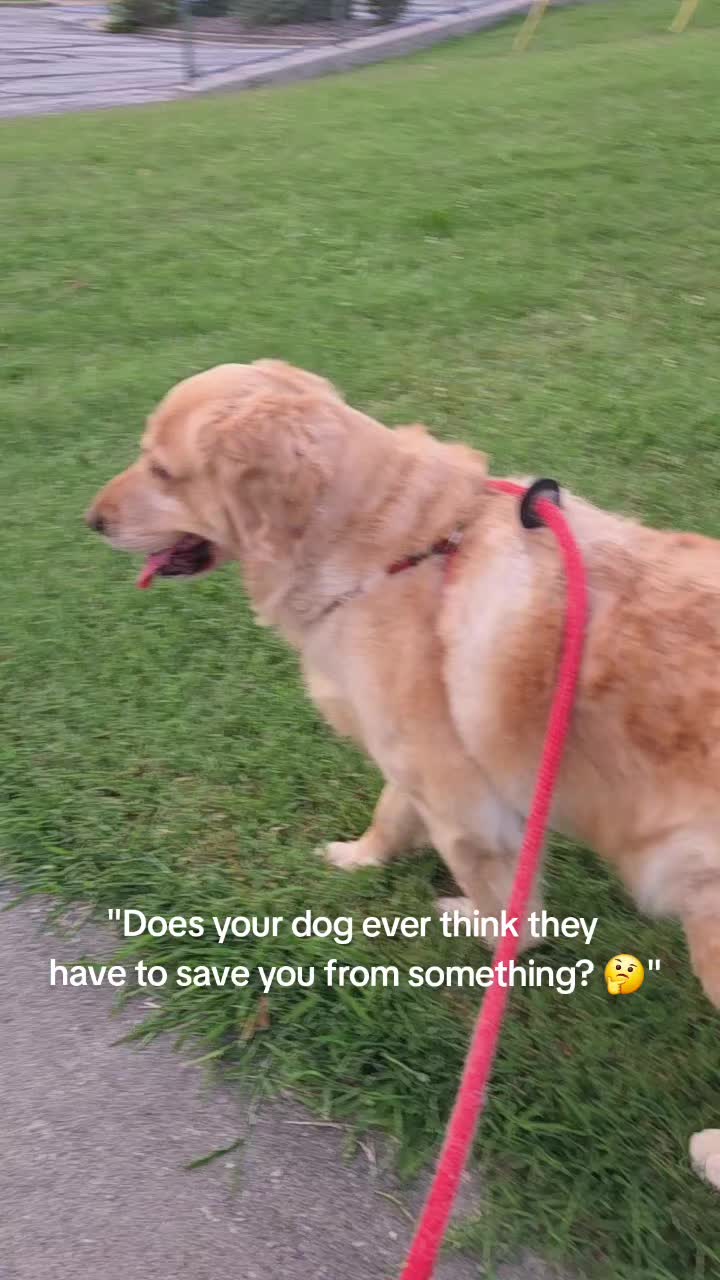 @halfpint78❌️