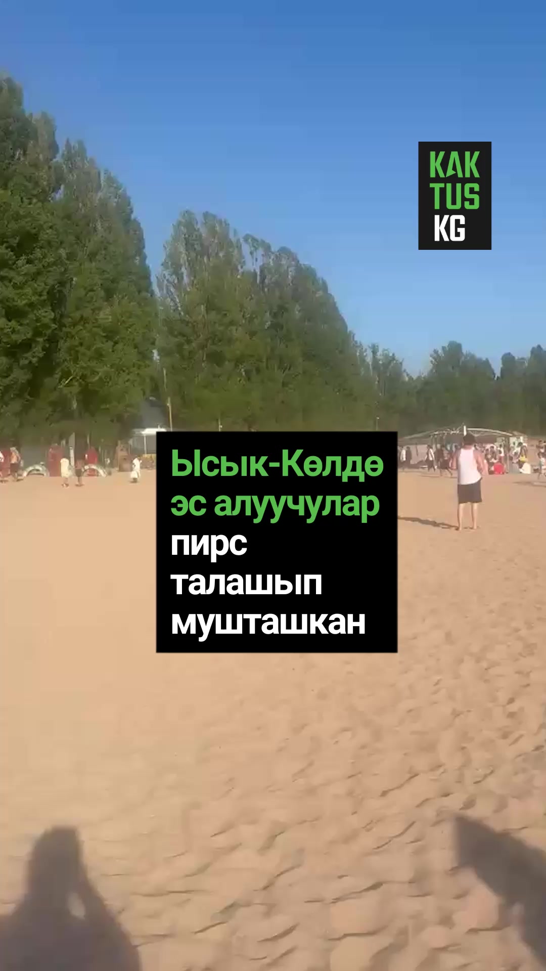 @Kaktus KG