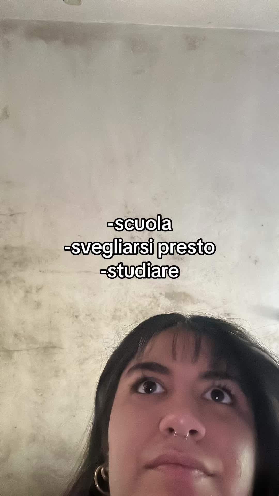 @🐰