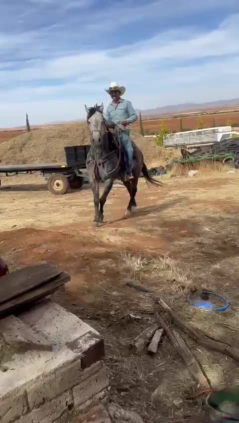 @Cesar Medina