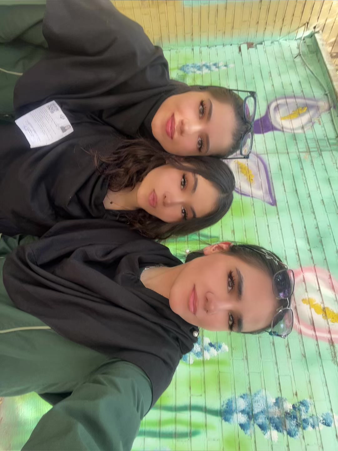 @romina abbasi