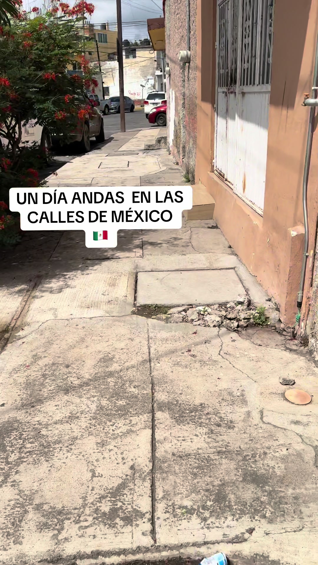 @Lûcïa